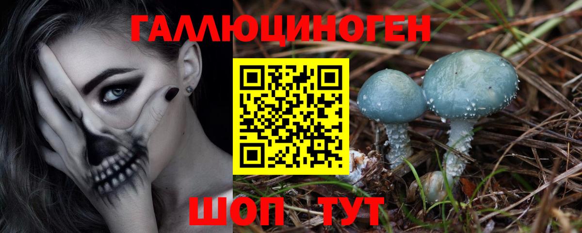 Галлюциногенные грибы Magic Shrooms Нижневартовск